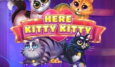 Here Kitty Kitty